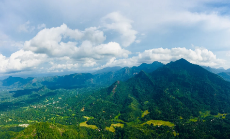 Misty mountains of Sri Lanka's central highlands
