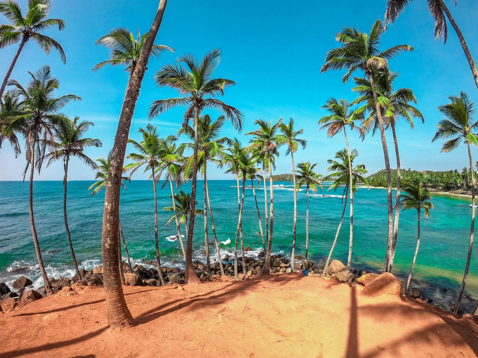 Coconut palms above a turquoise bay on Sri Lanka's south coast